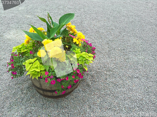 Image of Colorful flowers in a wooden barrel