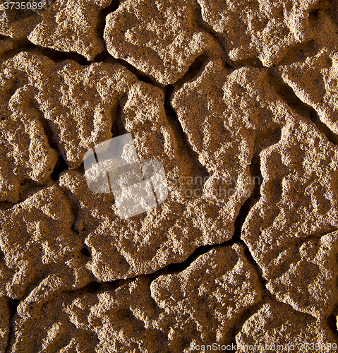 Image of texture rock abst of a   stone and lichens 