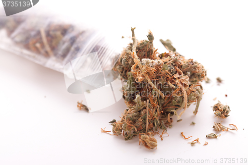 Image of Close up Dried Marijuana Leaves on the Table