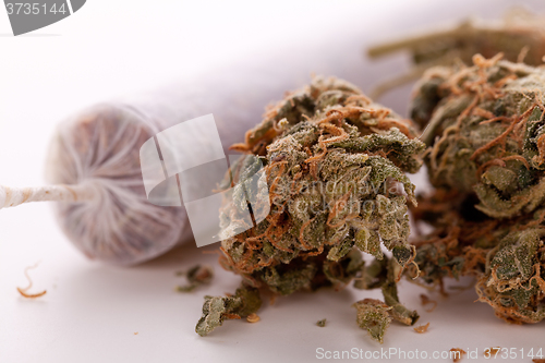 Image of Close up of dried marijuana leaves and joint