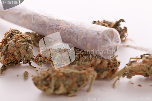 Image of Close up of dried marijuana leaves and joint