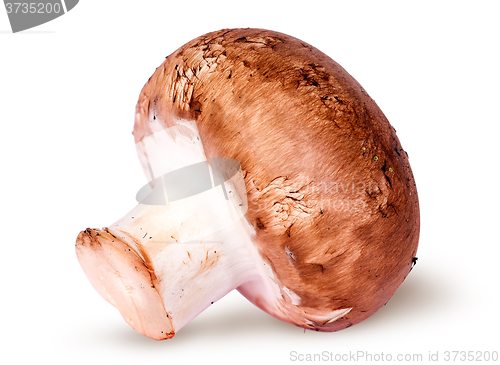 Image of One whole brown champignon