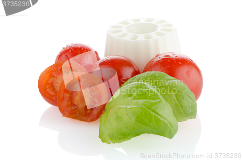 Image of Fresh white cheese