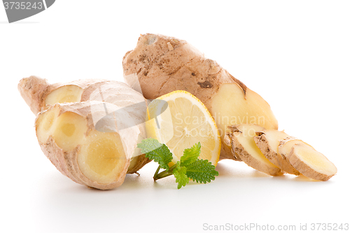 Image of Ginger root on white