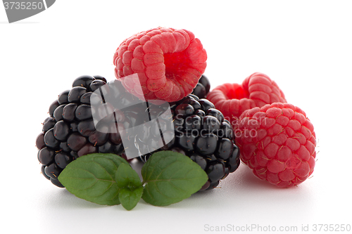 Image of Raspberry with blackberry 
