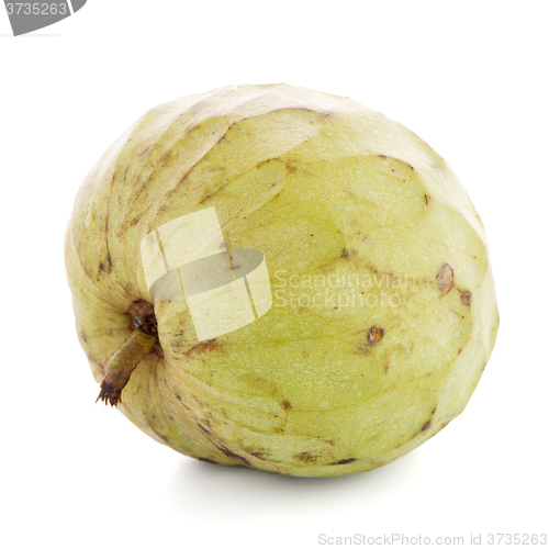 Image of Fresh Custard Apple