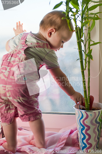 Image of  Girl in overall touch toy