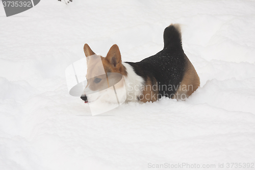 Image of lots of snow