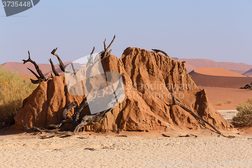 Image of Sossusvlei beautiful landscape of death valley