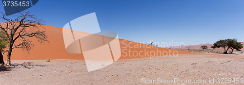 Image of Dune 45 in sossusvlei Namibia with dead tree