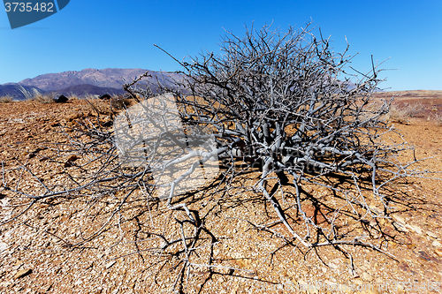 Image of fantrastic Namibia desert landscape