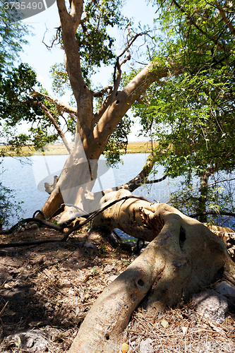 Image of Chobe river Botswana