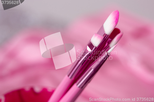 Image of close-up pink professional cosmetic brush 