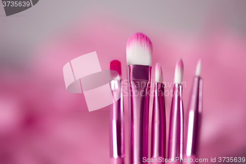 Image of pink professional cosmetic brush 