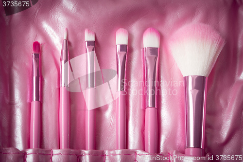 Image of pink professional cosmetic brush 