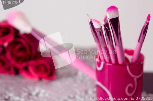 Image of close-up pink professional cosmetic brush 