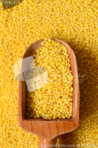 Image of raw yellow millet