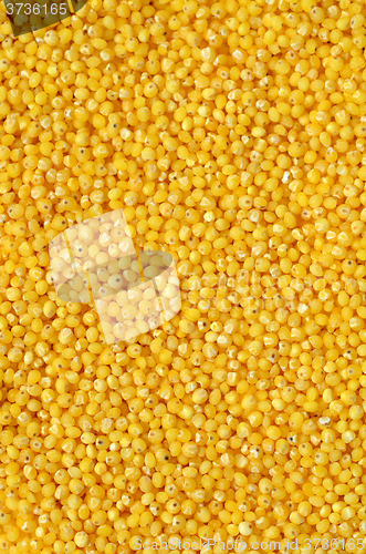 Image of raw yellow millet