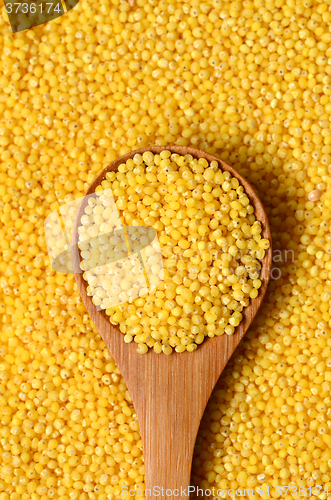 Image of raw yellow millet