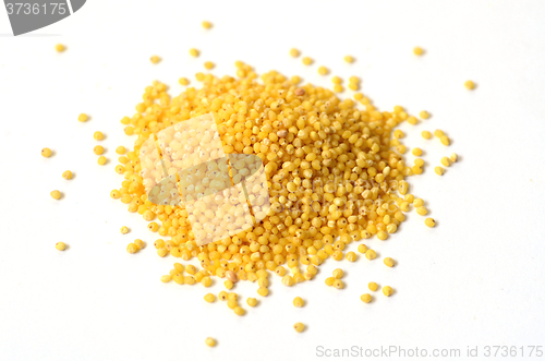 Image of raw yellow millet