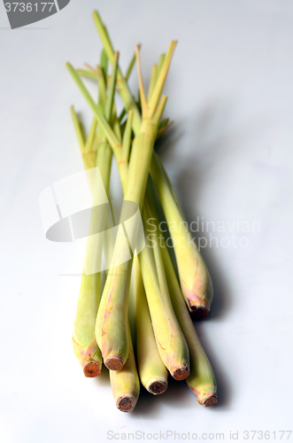 Image of Lemon Grass on wood background