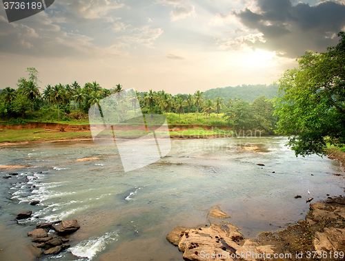 Image of River in jungle