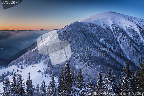 Image of Mala fatra mountains