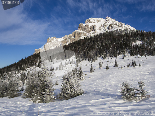 Image of Velky Rozsutec mountain