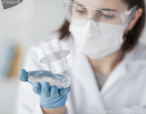 Image of close up of scientist holding petri dish in lab