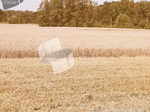 Image of Retro looking Harvest