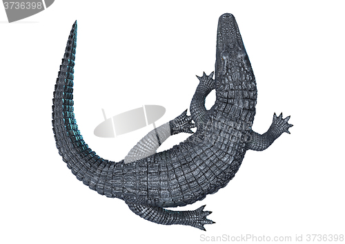 Image of Alligator Caiman on White