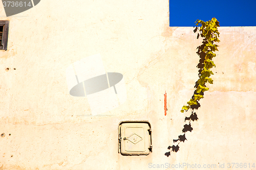 Image of moroccan old wall and erica