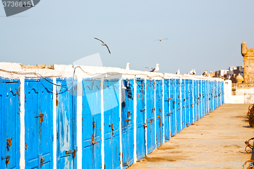 Image of in africa morocco  old harbor wood  bird