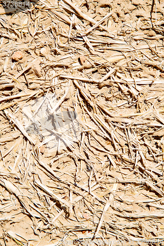 Image of cracked sand in morocco africa  macro hay