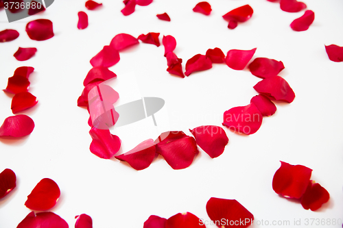 Image of close up of red rose petals in heart shape