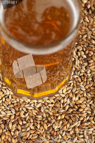 Image of beer glass at malt grains