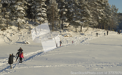 Image of Norwegian winter landscape