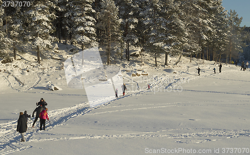 Image of Norwegian winter landscape