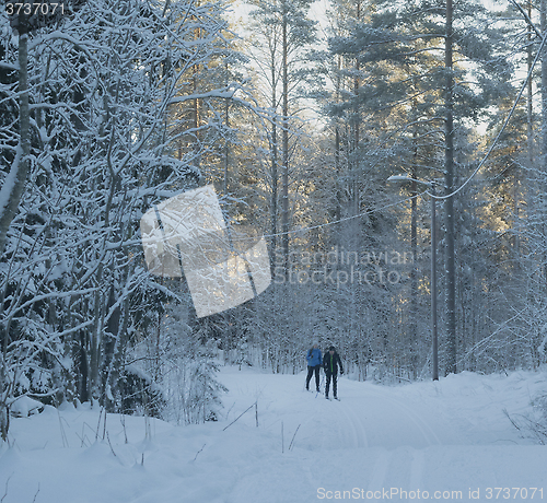 Image of Norwegian winter landscape