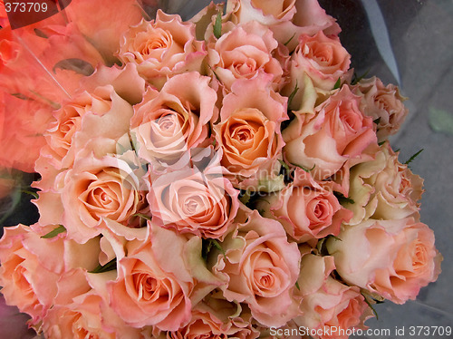 Image of Bunch of roses