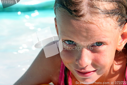 Image of In the swimming pool