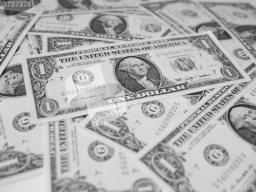 Image of Black and white Dollar notes 1 Dollar