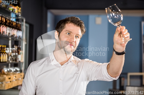 Image of Bartender Examining Glass Of Wine In Bar