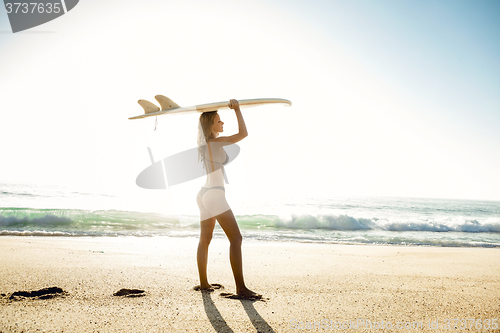 Image of Sexy surfer girl