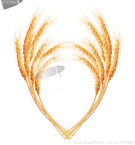 Image of Wheat ears with space for text. EPS 10