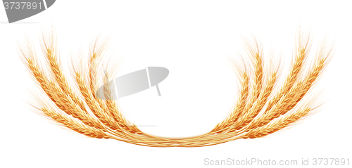 Image of Wheat ears with space for text. EPS 10