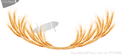 Image of Wheat ears with space for text. EPS 10