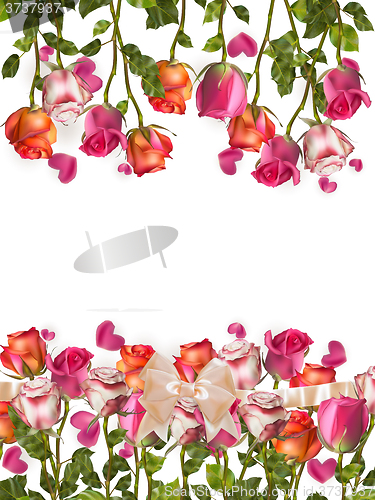Image of Roses and heart shape Petals. EPS 10