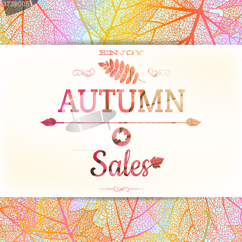 Image of Autumn sale Background. EPS 10