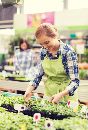 Image of happy woman taking care of seedling in greenhouse